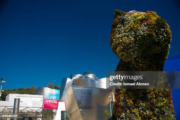 April 05, 2008. Bilbao, Biscay, Basque Country, Spain. 'Puppy' dog by Jeff Koons at the entrance of the Guggenheim Museum designed by Frank Gehry