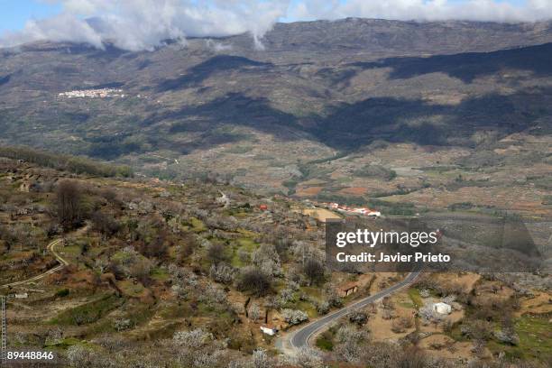 Jerte Valley. Extremadura. The cherry trees bloom.