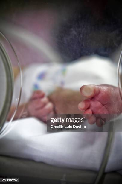 Premature Unit. La Paz Hospital. Madrid. Baby in incubator.