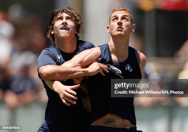 Caleb Marchbank and Liam Jones of the Blues in action during the Carlton Blues AFL pre-season training session at Maroochydore Multisport Complex on...