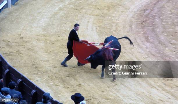 Spain. The bullfighter Antonio Bienvenida during a bullfight.