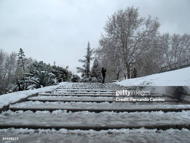 January 09, 2009. Madrid, Spain. Heavy snow storm in Madrid. Oeste Park.