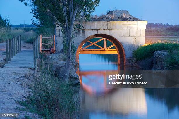 tarragona. river ebro. historic bridge in delta del ebro park. - arroz stock-fotos und bilder
