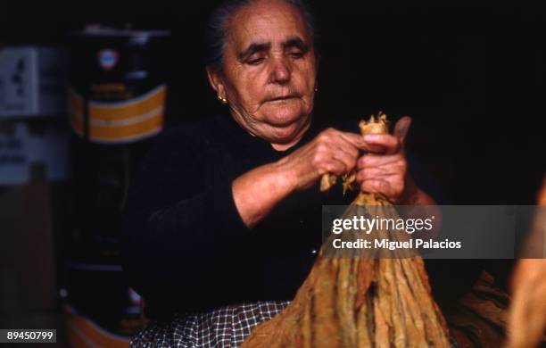 Old woman drying tobacco.