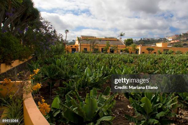 Gran Canaria. Canary Islands. Rural Hotel La Hacienda del Buen Suceso. Arucas.