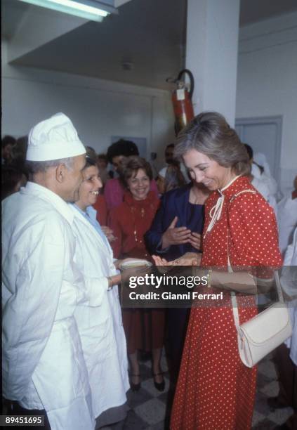 April 1983. Birkhadem, Algeria. Official visit of the Kings of Spain, Juan Carlos and Sofia to Algeria. The Queen visited the female and vocational...