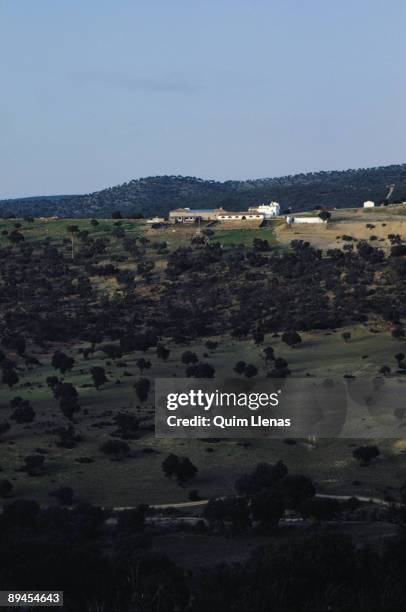 Farmhouse, Cordova The farn is sorrounded by olive trees in the Cordova province