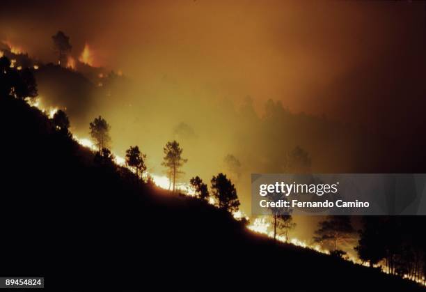 Fire in Gredos Sierra Fire in Gredos Sierra during the night, avila province