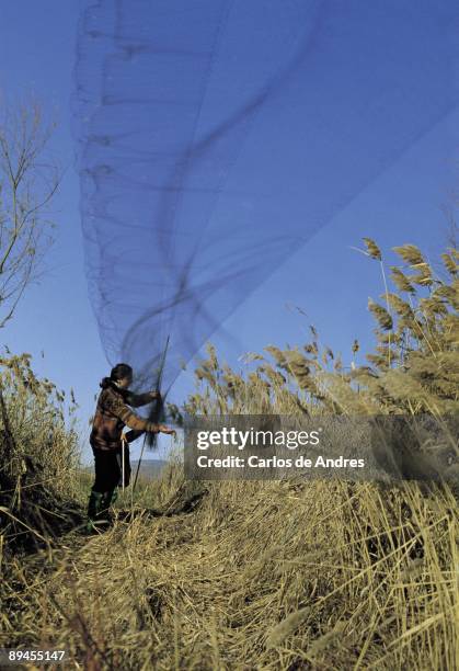 Woman puts a web in a field The web is for cathching ducks in the field