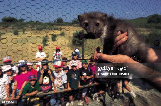 Children wath a marte Marte is in a fenced zone and cith metalic web