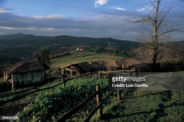 Fields of Asturias Hamlet and cabbage fields, Asturias province