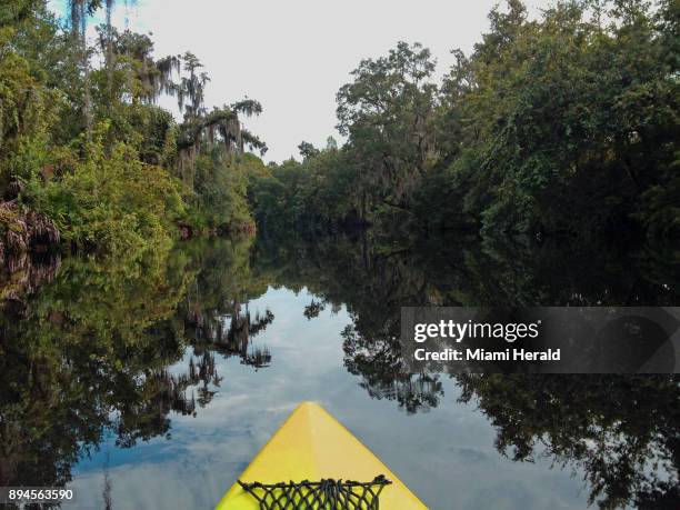 Kayaking on Shingle Creek in Kissimmee near Orlando.