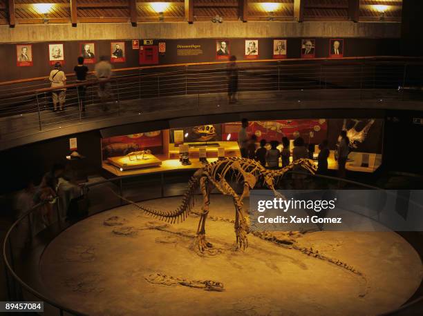 Colunga, Asturias . Jurassic Museum of Asturias. In the image, a Plateosaurus.