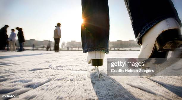 ice skating with speed towards sun in holland - ice skate bildbanksfoton och bilder