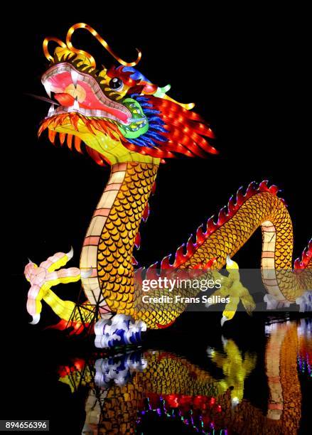 chinese traditional dragon lantern reflected in the water - chinese dragon stock pictures, royalty-free photos & images