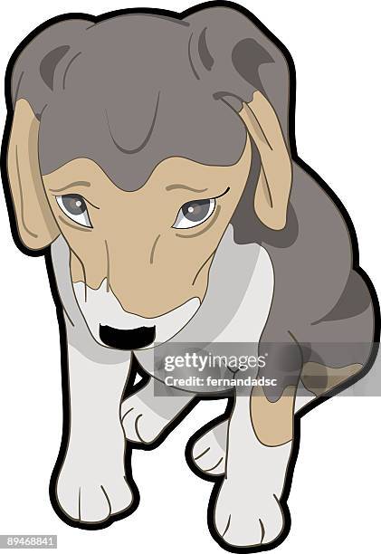 guilty beagle - beagle stock illustrations