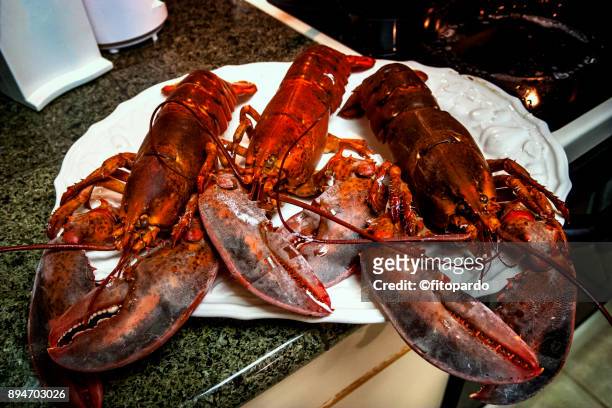cooked lobsters - lobster dinner stock pictures, royalty-free photos & images