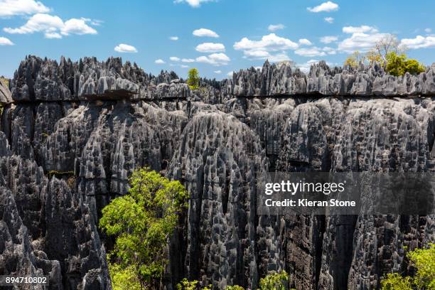 Tsingi 356 Tsingy De Bemaraha National Park Stock Photos, High-Res Pictures ...