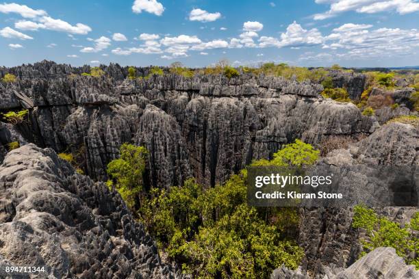 Tsingi 356 Tsingy De Bemaraha National Park Stock Photos, High-Res Pictures ...