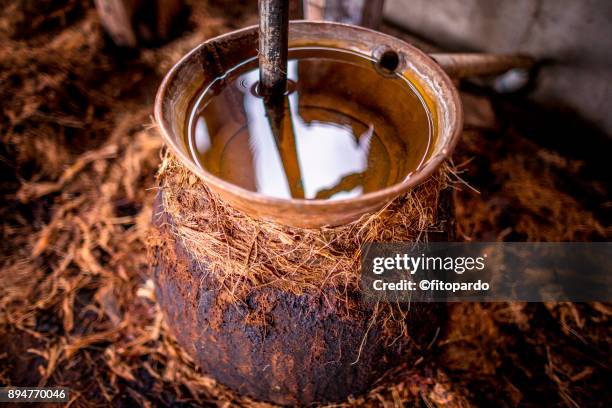 artisan mezcal preparations - mezcal fotografías e imágenes de stock