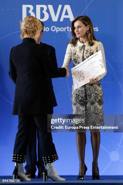 Queen Letizia of Spain meets FAD Foundation and the delivery of 2017 Accion Magistral Award at BBVA headquarters on December 18, 2017 in Madrid,...