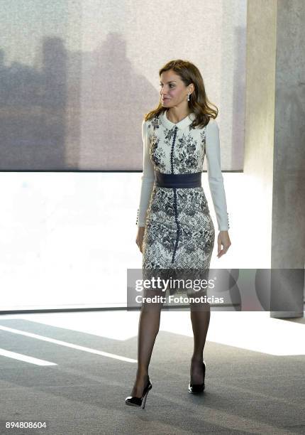 Queen Letizia of Spain attends the 'Accion Magistral 2017' awards at Ciudad BBVA on December 18, 2017 in Madrid, Spain.