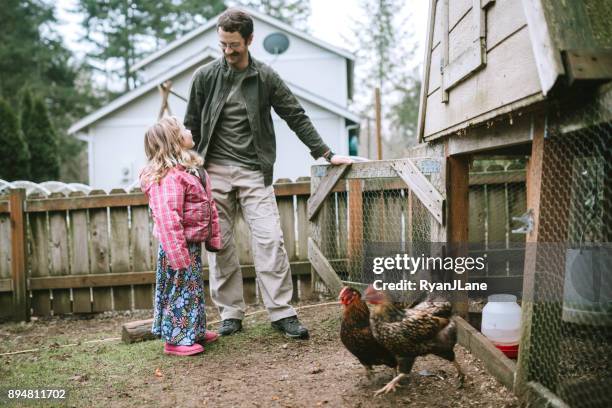 family caring for their chickens - the coop stock pictures, royalty-free photos & images