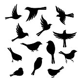Birds silhouette collection.