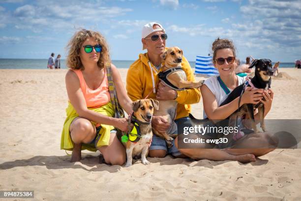 vacations with dogs - daily life in sopot stock pictures, royalty-free photos & images