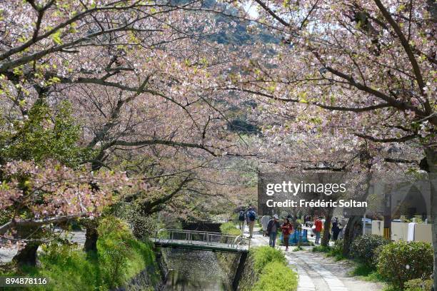 Philosopher's Walk in Kyoto. The Philosopher's Walk is a pedestrian path that follows a cherry-tree-lined canal in Kyoto, between Ginkaku-ji and...