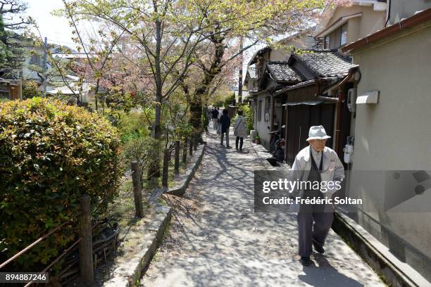 Philosopher's Walk in Kyoto. The Philosopher's Walk is a pedestrian path that follows a cherry-tree-lined canal in Kyoto, between Ginkaku-ji and...