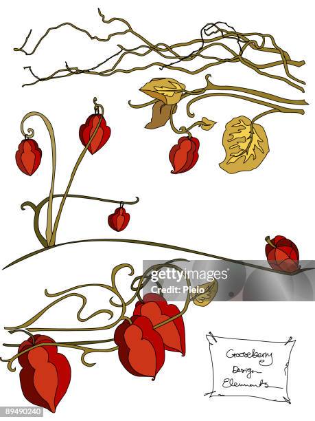 gooseberry fruit and branches design elements - gooseberry stock illustrations