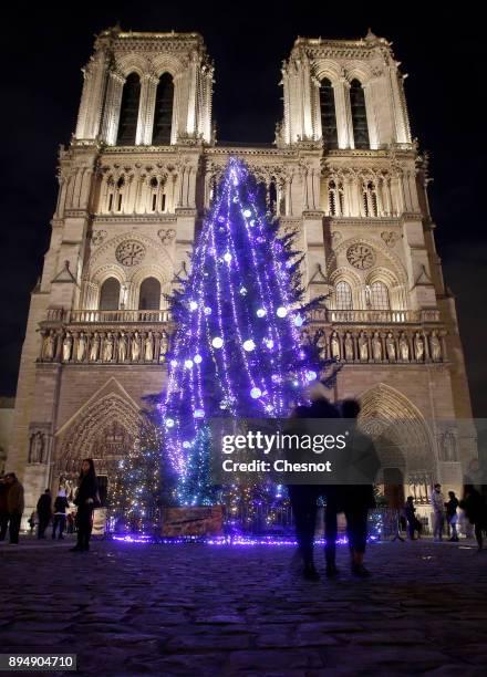 Giant Christmas tree stands in front Notre-Dame cathedral as the French capital prepares for the Christmas holiday season on December 18, 2017 in...