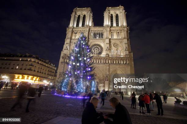 Giant Christmas tree stands in front Notre-Dame cathedral as the French capital prepares for the Christmas holiday season on December 18, 2017 in...