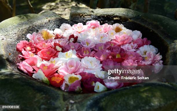 Philosopher's Walk in Kyoto. The Hônen-in Temple, on the Philosopher's Walk, a pedestrian path that follows a cherry-tree-lined canal in Kyoto,...