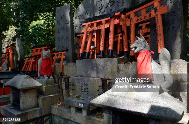 Fushimi Inari-taisha temple in Kyoto. Fushimi Inari Taisha is the head shrine of Inari, located in Fushimi-ku, Kyoto. Inari was seen as the patron of...