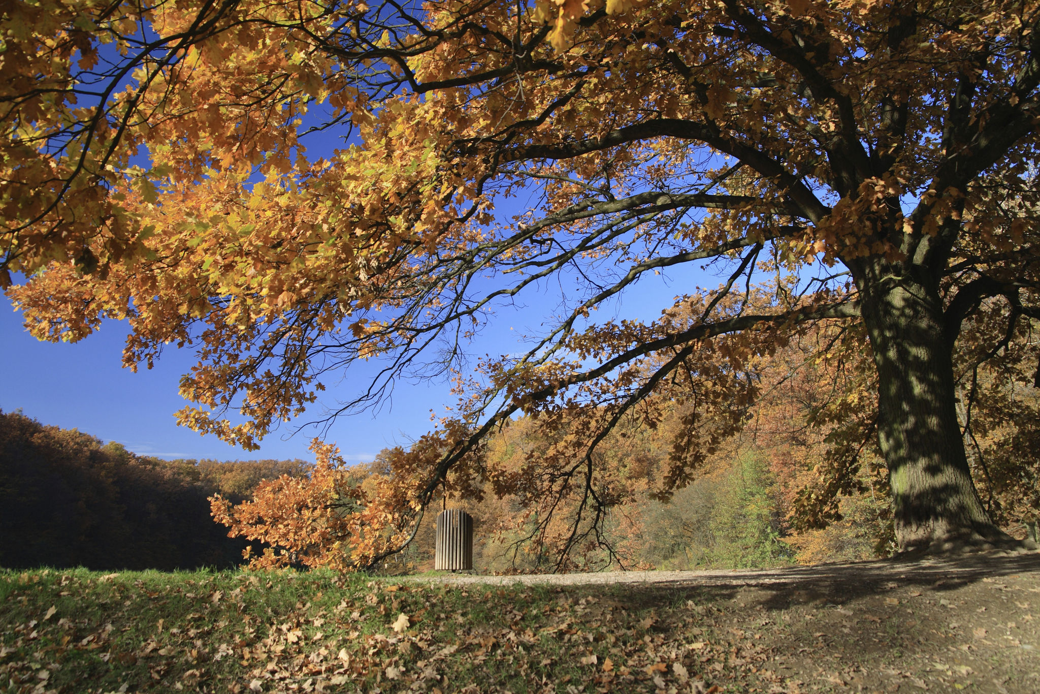 maksimir park