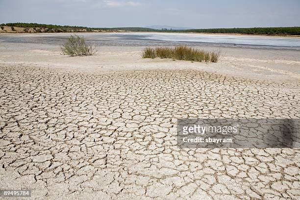 global warming - riverbed stock pictures, royalty-free photos & images