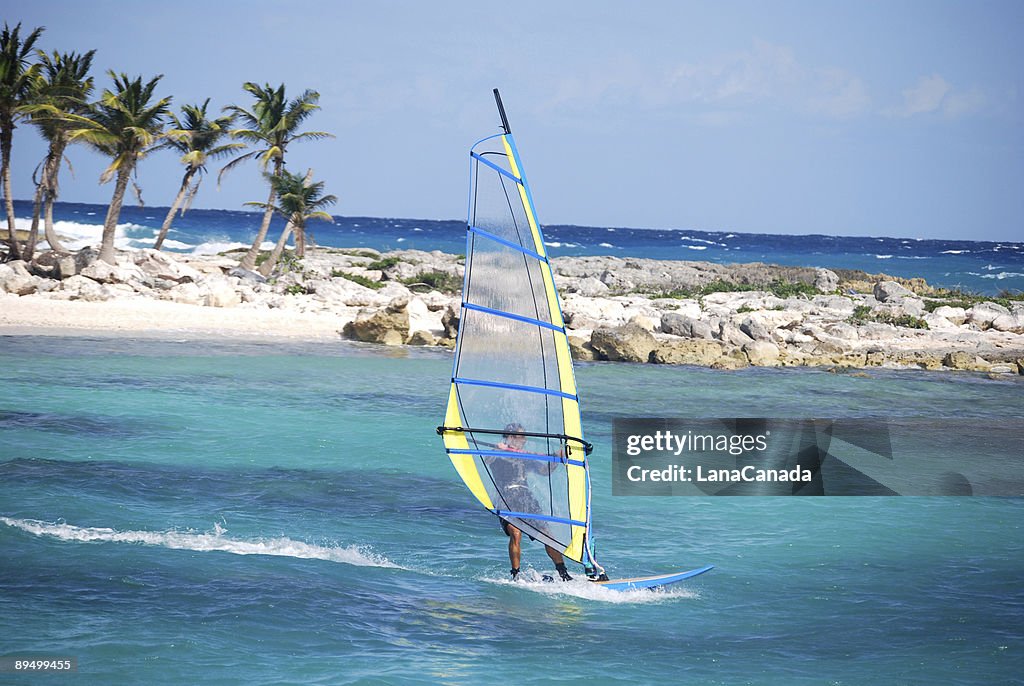 A man windsurfing near the coast on a sunny day