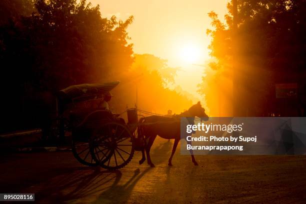 horse carriage at the bagan archaeological zone,beautiful sunset scene of horsecart in bagan, myanmar - bagan photos et images de collection