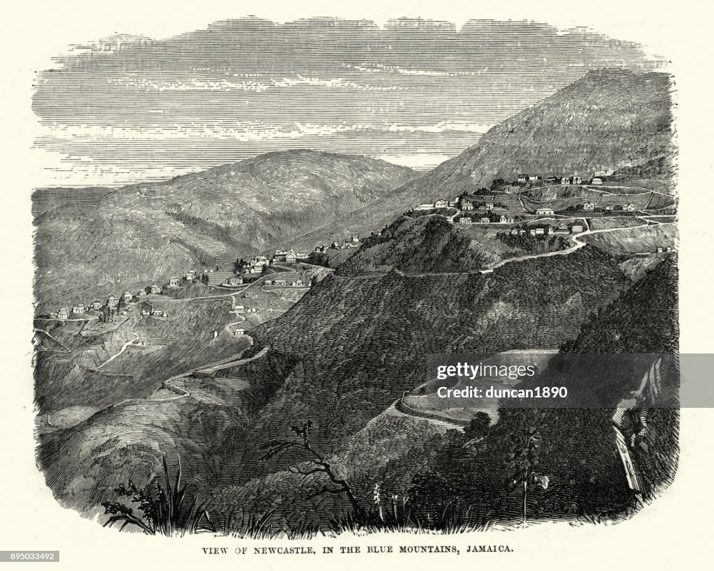Newcastle, in the Blue Mountains, Jamaica, 19th Century