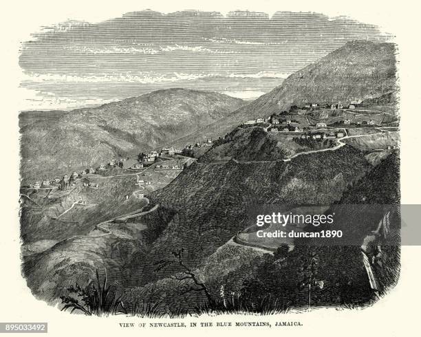 newcastle, in the blue mountains, jamaica, 19th century - blue mountains jamaica stock illustrations