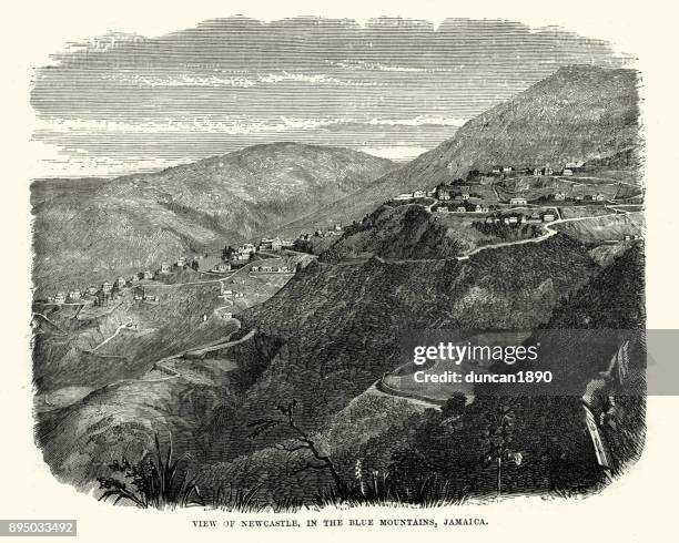 newcastle, in the blue mountains,  jamaica, 19th century - newcastle nsw stock illustrations