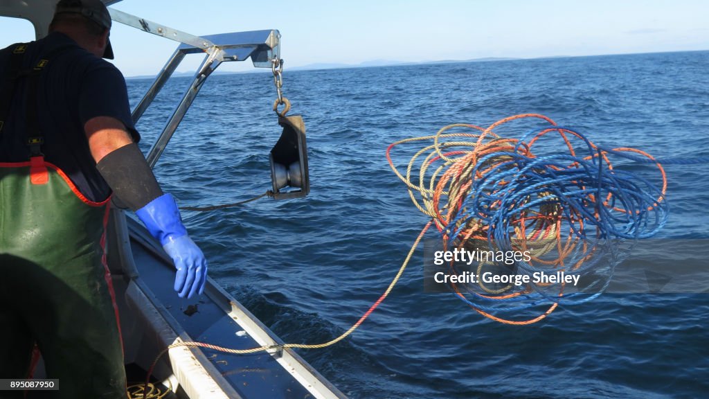 Trap Using Rope Rope Attached To Lobster Trap Thrown Overboard High-Res Stock Photo ...