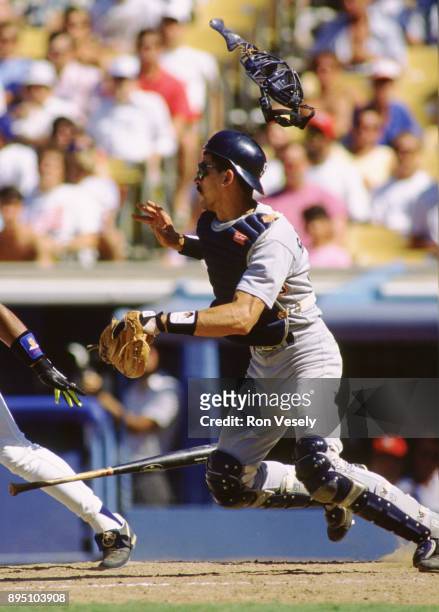 Benito Santiago of the San Diego Padres catches in an MLB game at Dodger Stadium in Los Angeles, California during the 1991 season.