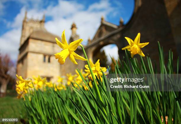 Cotsowld Spring 1,036 Cotswold Spring Stock Photos, High-Res Pictures, and Images ...