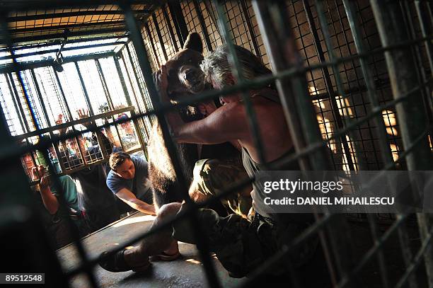 Baloo, a one-year and four-month-old bear, is comforted by his owner, Molnar Mircea, in a cage on July 30, 2009 shortly after being taken away from...