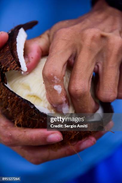 extracting the fresh coconut meat from a coconut - verwaltungsbezirk island county stock-fotos und bilder