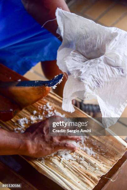 collecting freshly grated coconut meat into a white cloth - kokosnussöl stock-fotos und bilder