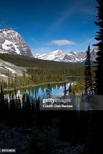 morning mountain lake in yoho national park - lago o'hara foto e immagini stock